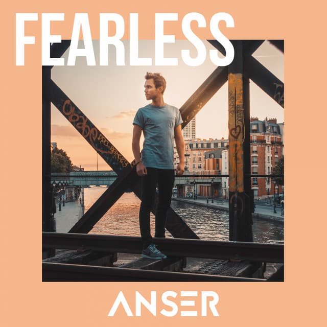 Laisse aller cover art