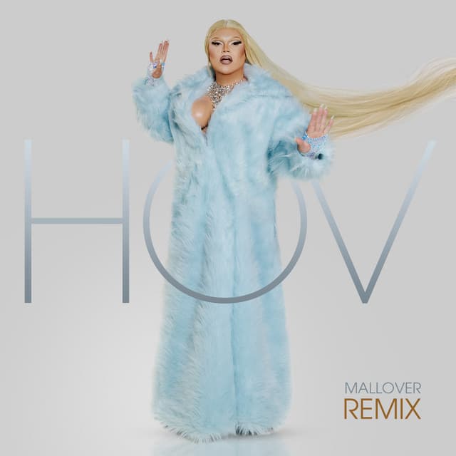 Haus of Vizcaya - Mallover Club Remix cover art