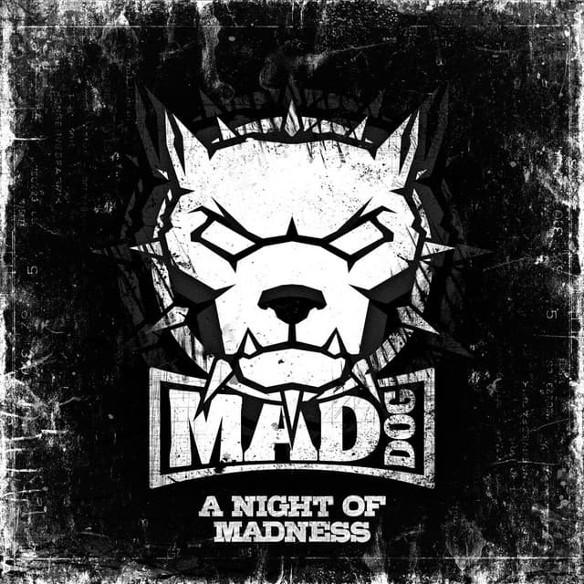 A Night Of Madness cover art