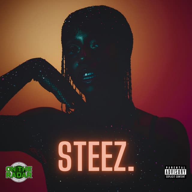 Steez cover art