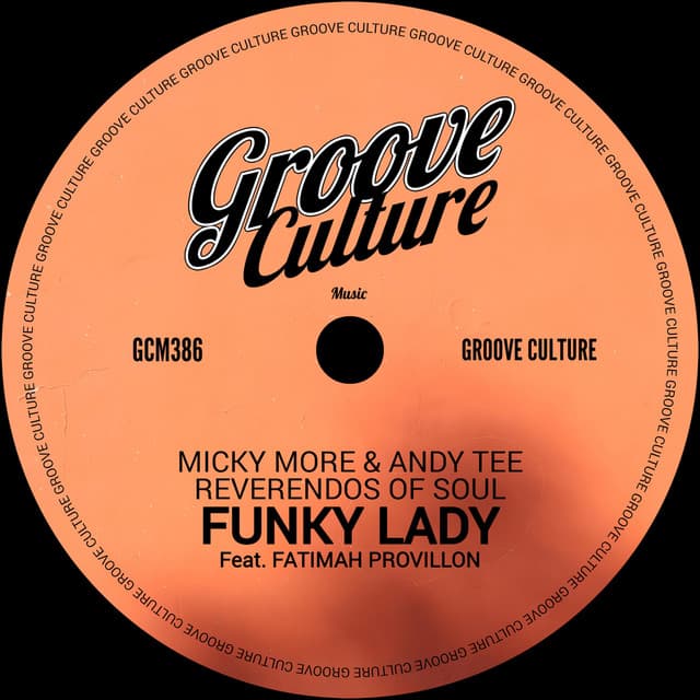Funky Lady cover art