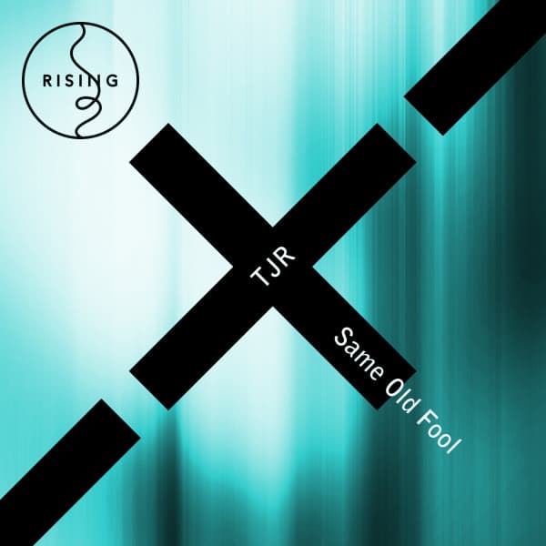 Son!k Remix - QiDD Remix cover art