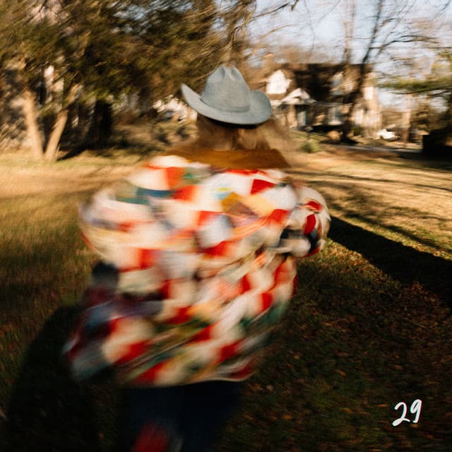 29 cover art