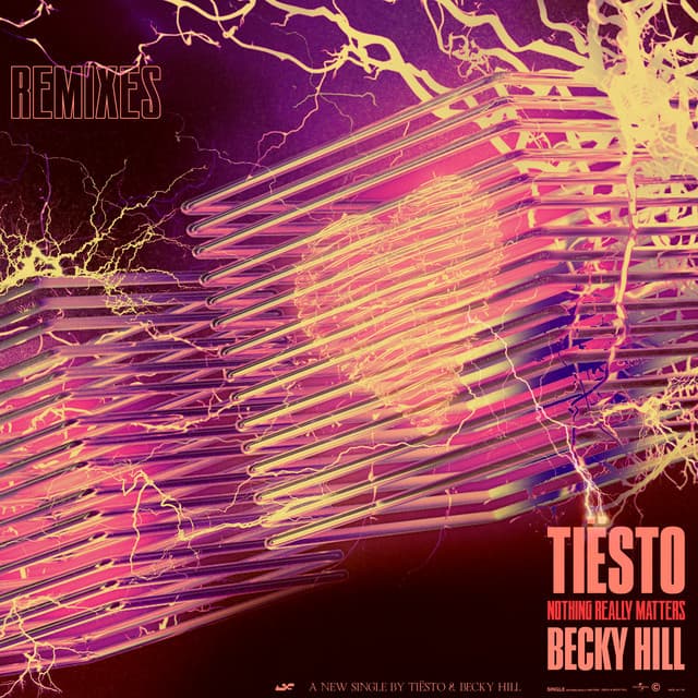 Nothing Really Matters (Remixes) cover art
