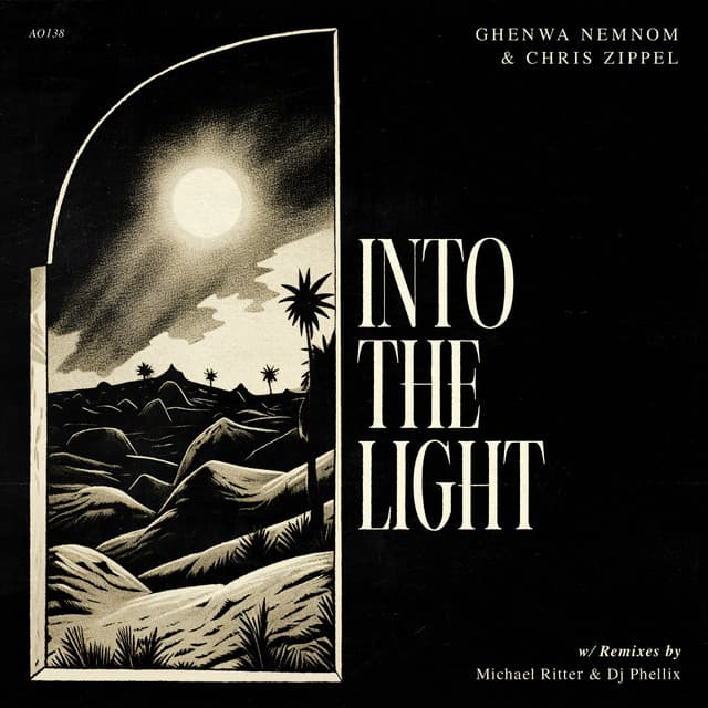 Into The Light - Dj Phellix Remix cover art