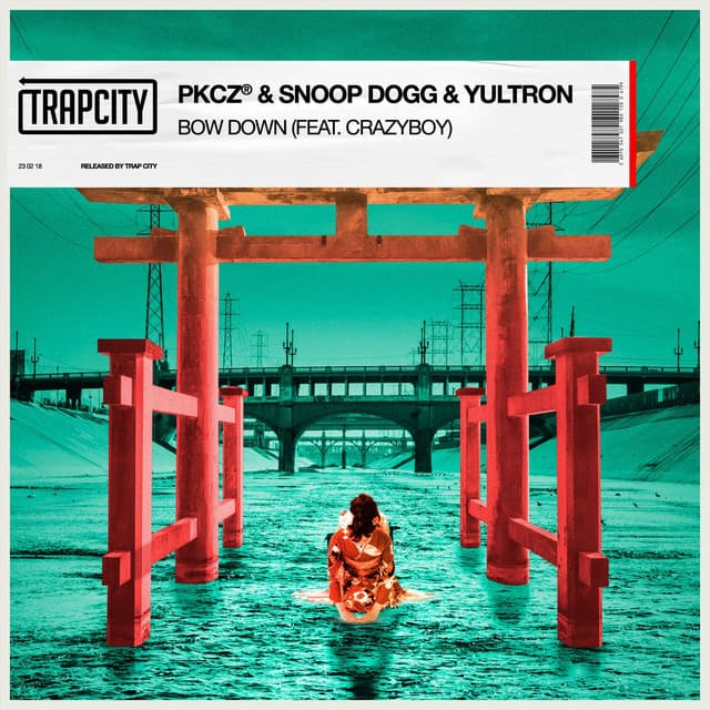 BOW DOWN (feat. CRAZYBOY) cover art
