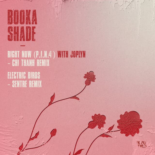 Electric Birds - Sentre Remix cover art