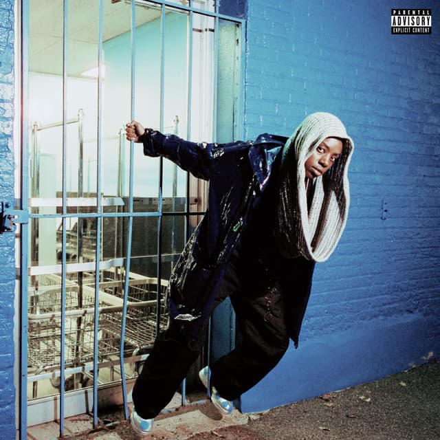 Survival cover art