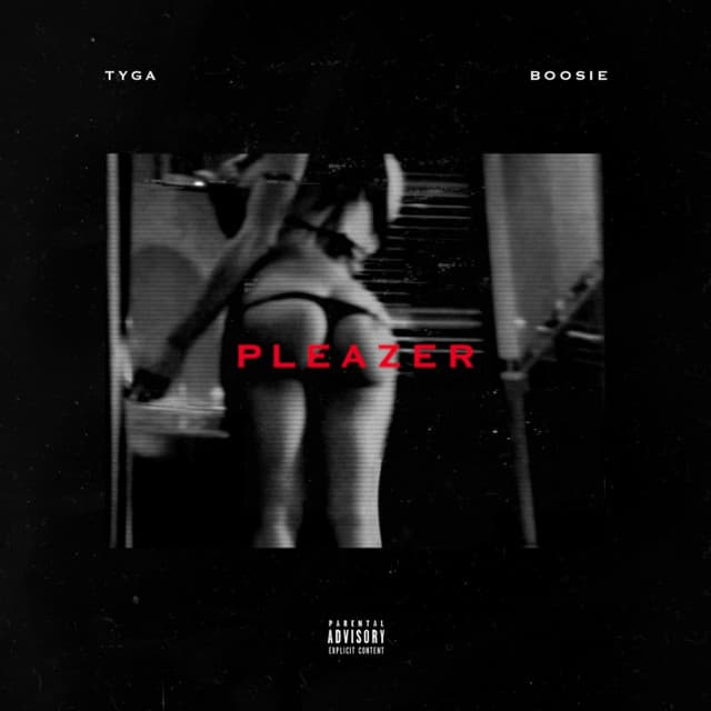 Pleazer cover art