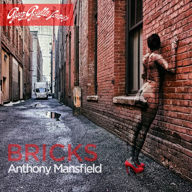 Bricks - Shiny Objects Remix cover art