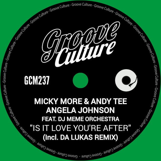 Is It Love You're After - Da Lukas Remix Instrumental cover art