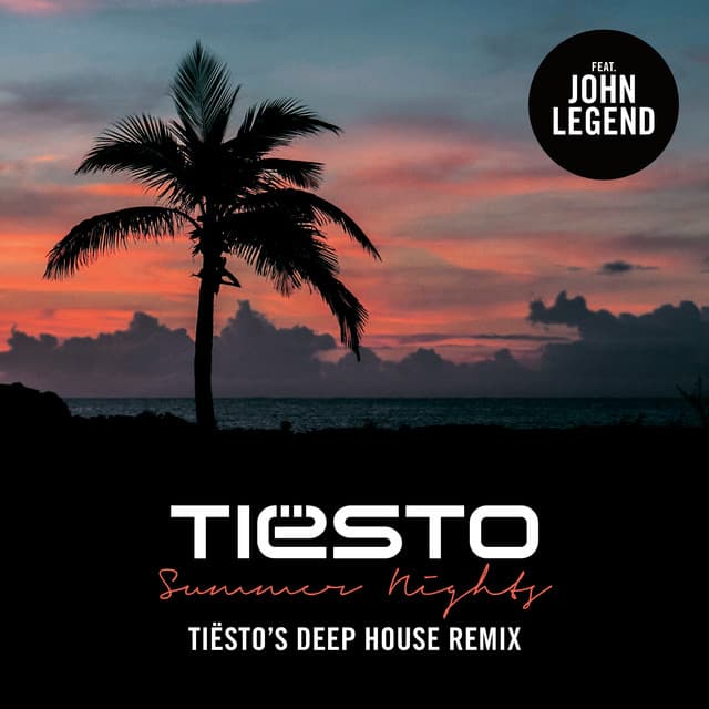 Summer Nights - Tiësto’s Deep House Remix cover art