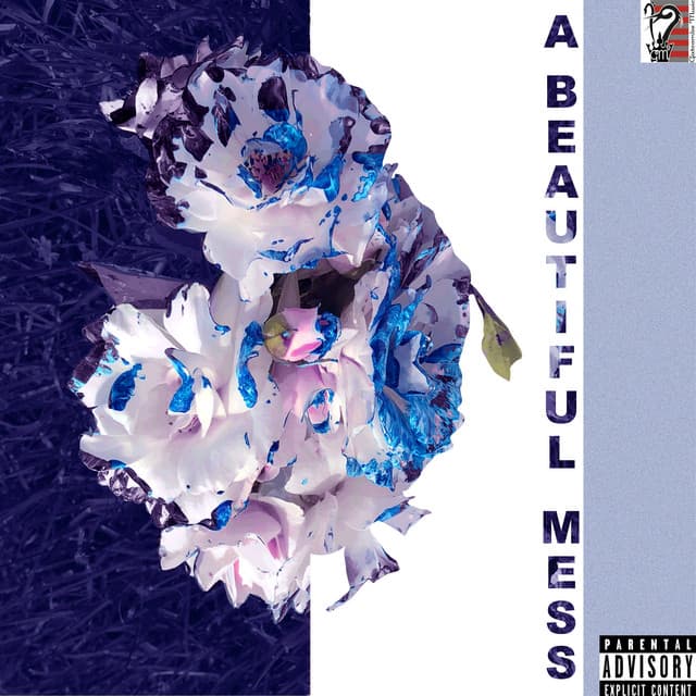 A Beautiful Mess cover art
