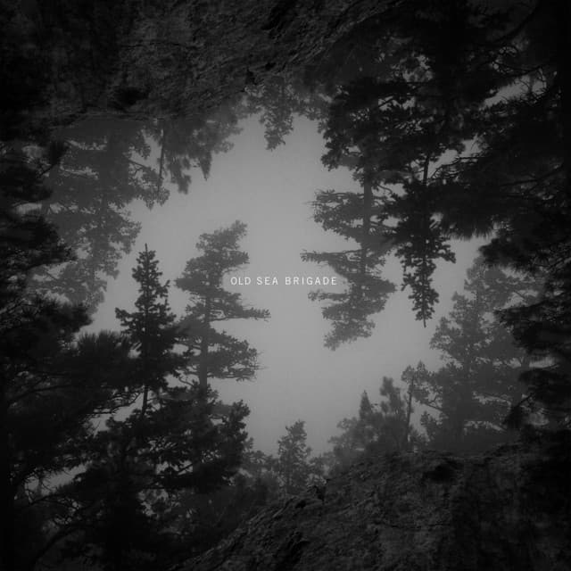 Love Brought Weight cover art