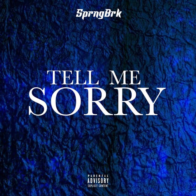 Tell Me Sorry cover art
