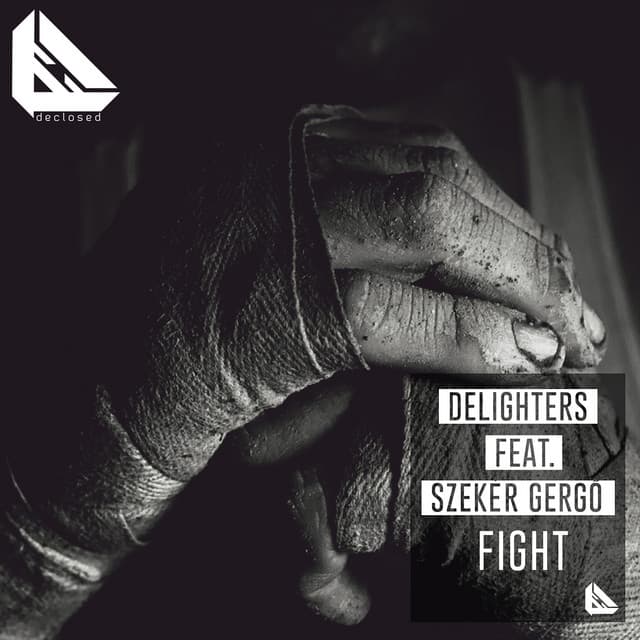 Fight cover art