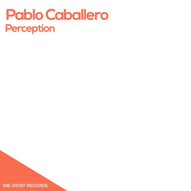 Perception - G-7 Proyect Remix cover art