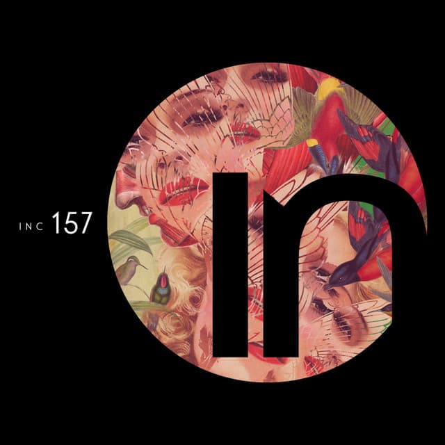 Bradleye cover art