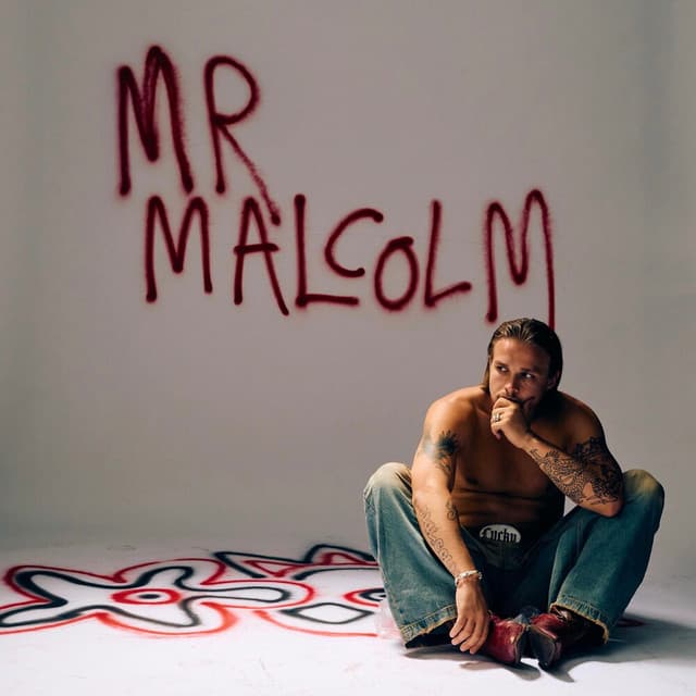 Mr Malcolm cover art