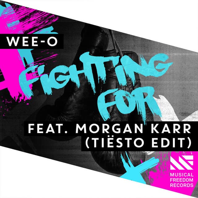 Fighting For (feat. Morgan Karr) - Tiësto Edit cover art