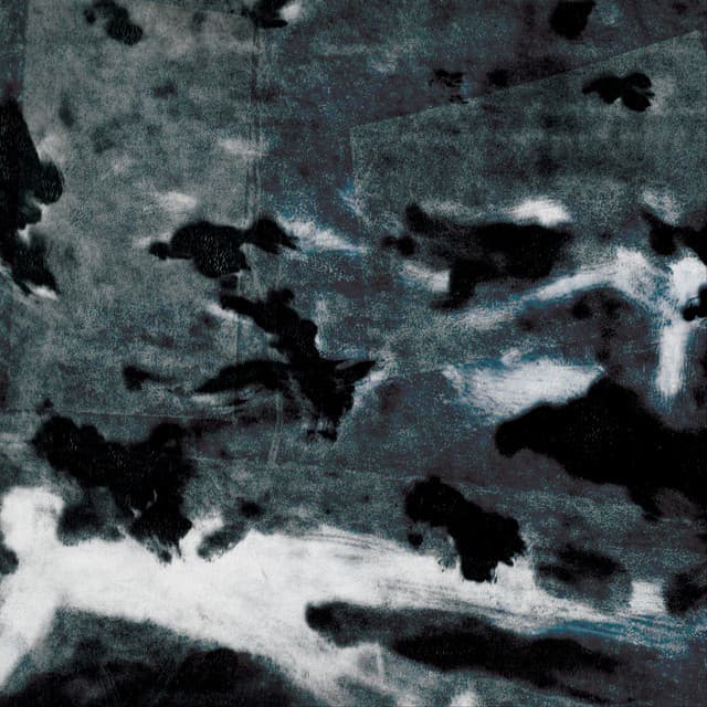 Words I should've said cover art