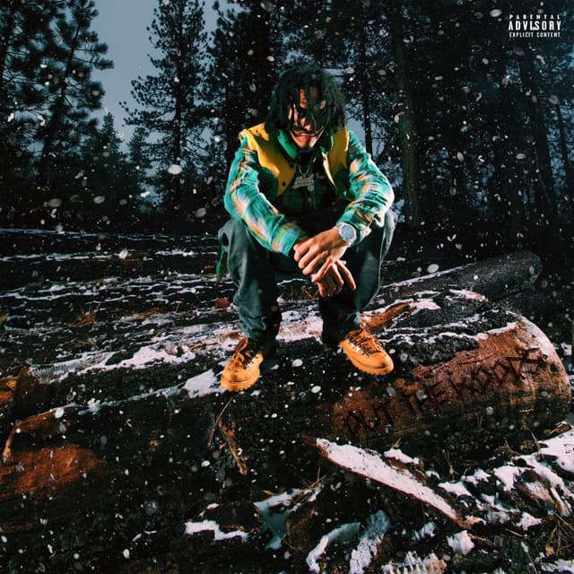 Out The Woods cover art