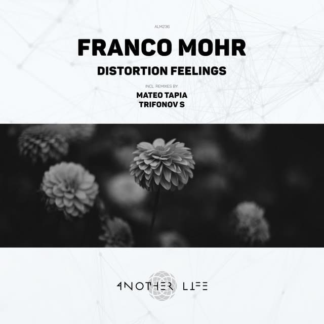 Distortion Feelings - Trifonov S Remix cover art