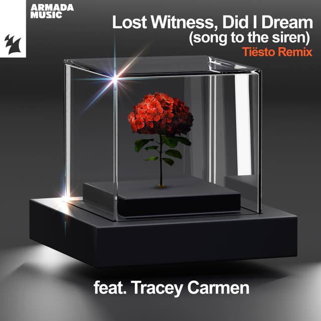 Did I Dream (Song To The Siren) - Tiësto Remix cover art