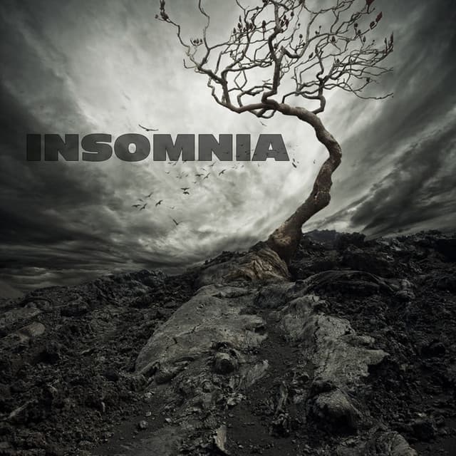 Insomnia Side a cover art
