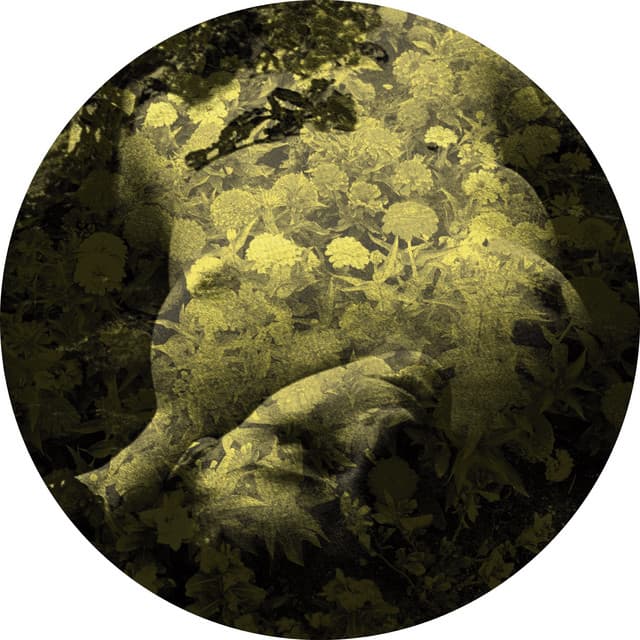 Yellobone - Shlohmo & 2KWTVR Remix cover art