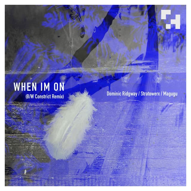 When Im On - Constrict Remix cover art