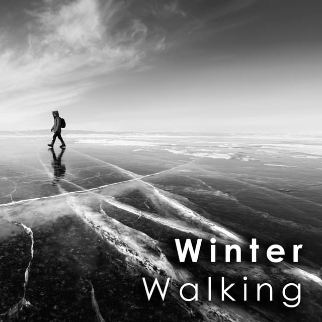Winter Walking: Soundtracks for Cold Days cover art