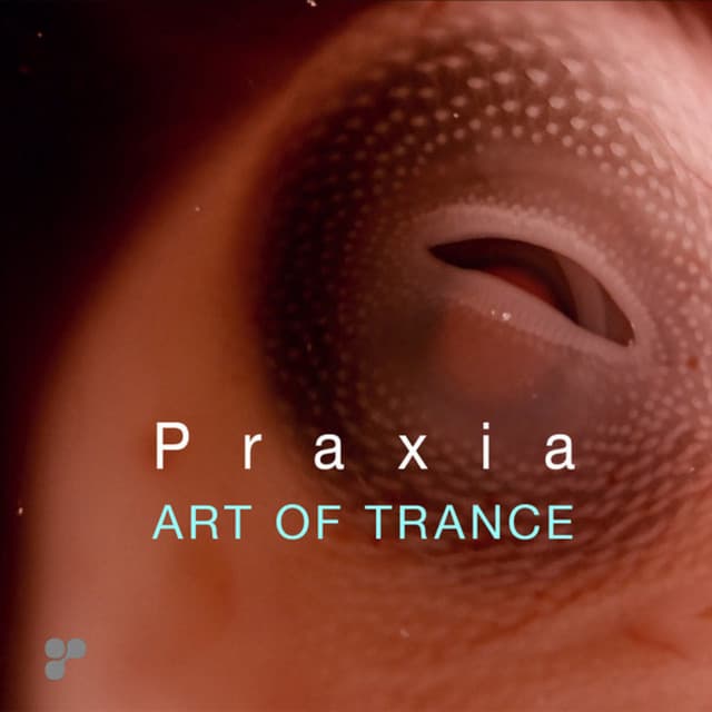 Praxia - Meanda Remix cover art