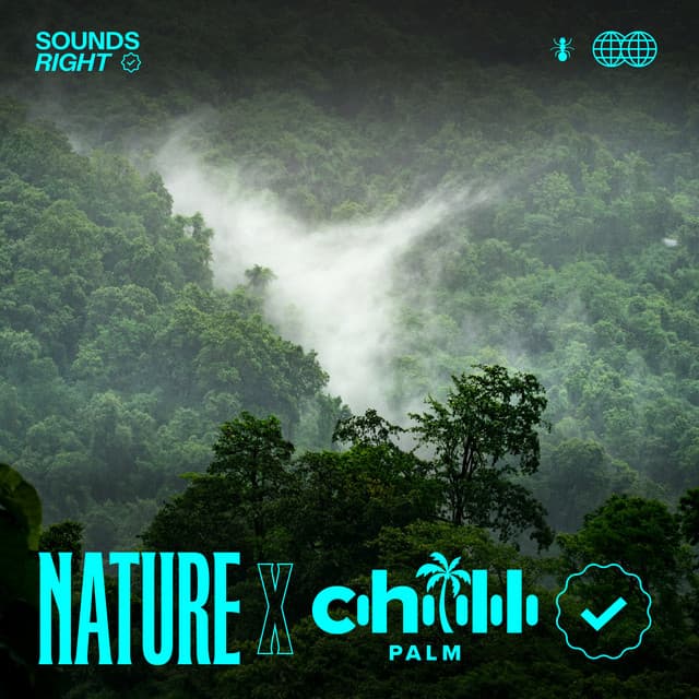 Sounds of the Borneo Rainforest cover art