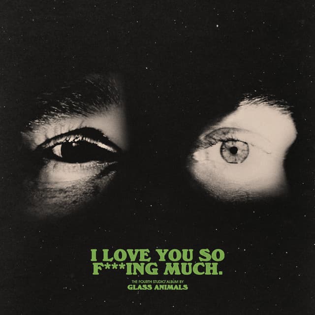 I Love You So F***ing Much cover art