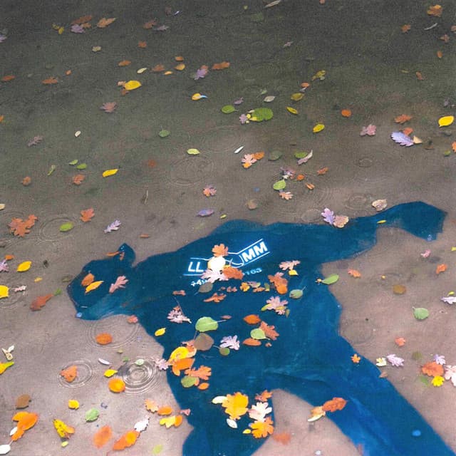 halt mich cover art