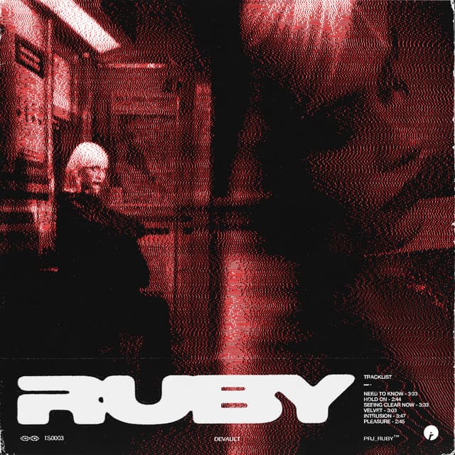 Intrusion cover art