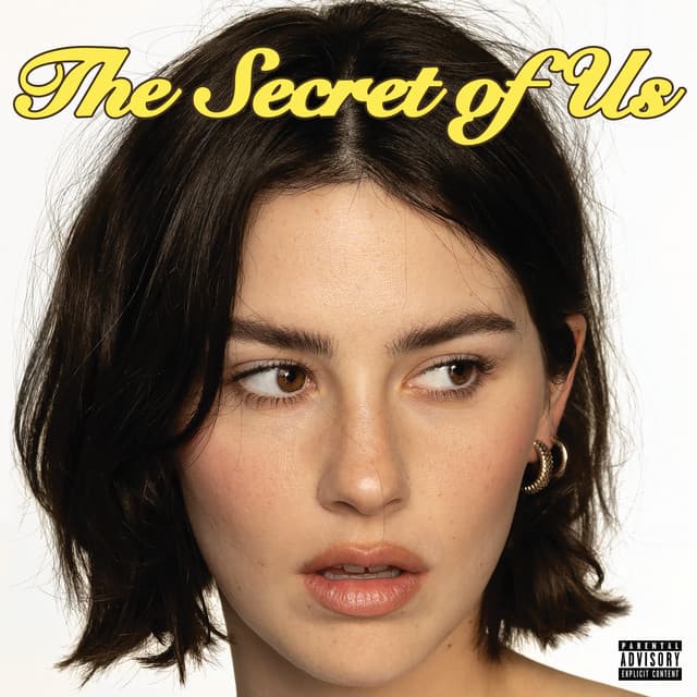 The Secret of Us cover art