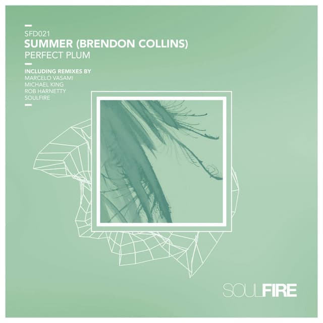 Perfect Plum - Soulfire Remix cover art