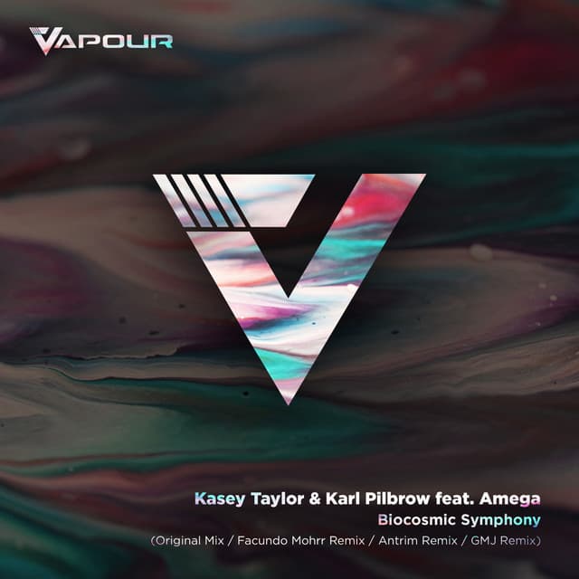 Biocosmic Symphony - Facundo Mohrr Remix cover art