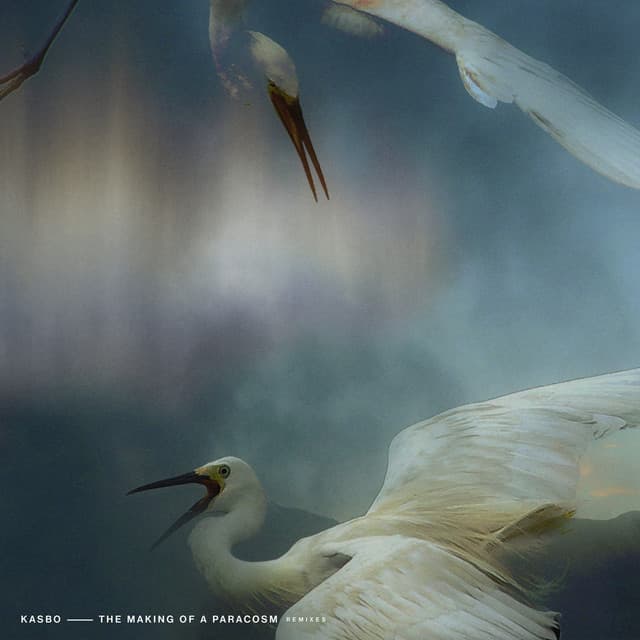 Show You - Duskus Remix cover art