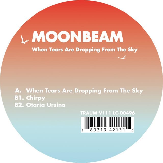 When Tears Are Dropping from the Sky - Roland M. Dill Remix cover art