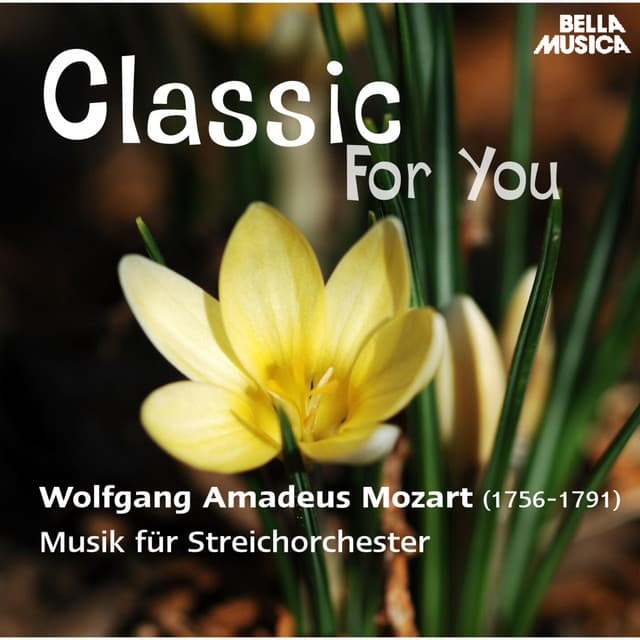 Slovak Philharmonic Chamber Orchestra