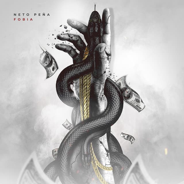 Nada Me Va A Importar cover art