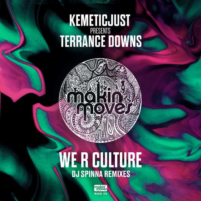 We R Culture - DJ Spinna Galactic Soul Remix cover art