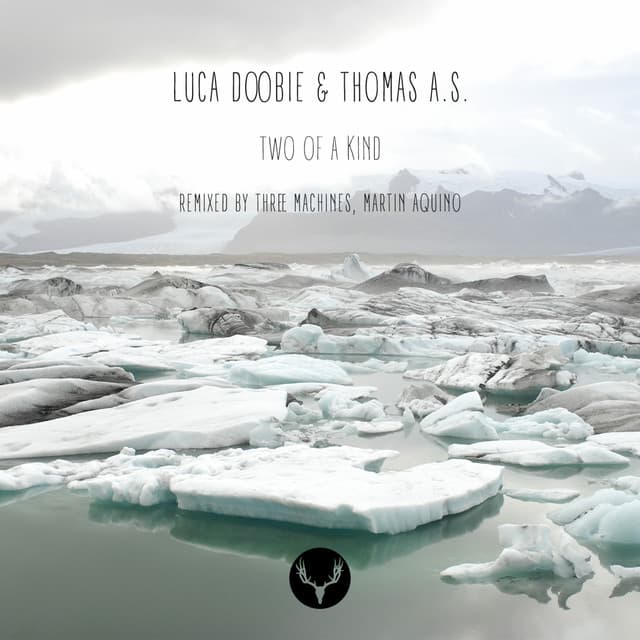 Two Of A Kind - Martin Aquino Remix cover art
