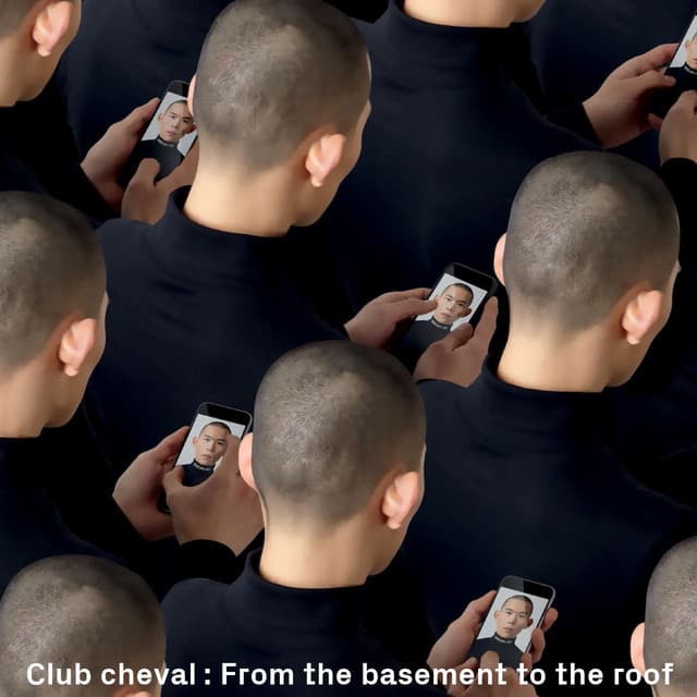From the Basement to the Roof cover art