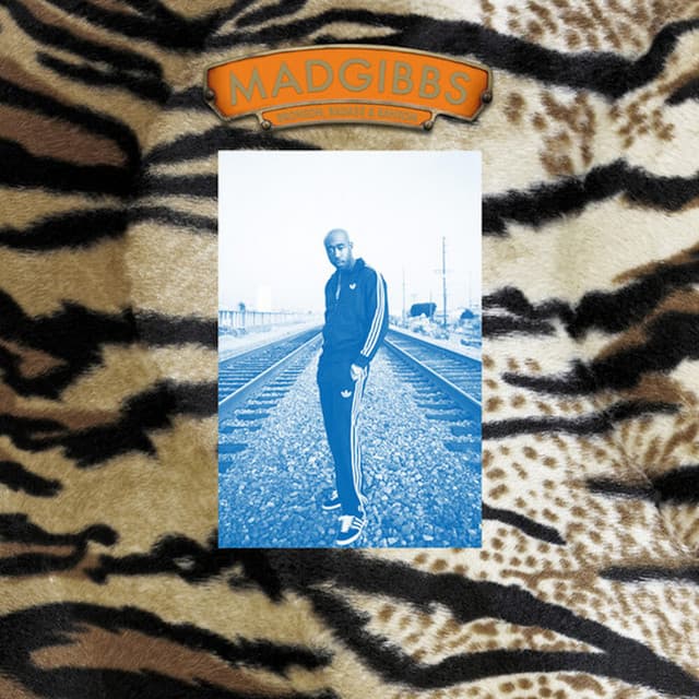 Knicks Remix cover art