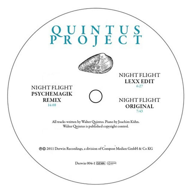 Night Flight - Psychemagik Remix cover art