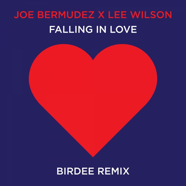 Falling In Love (Birdee Remix) cover art